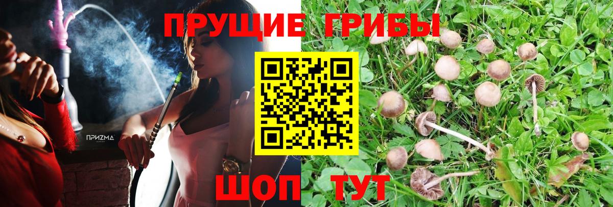Псилоцибиновые грибы Magic Shrooms Барабинск