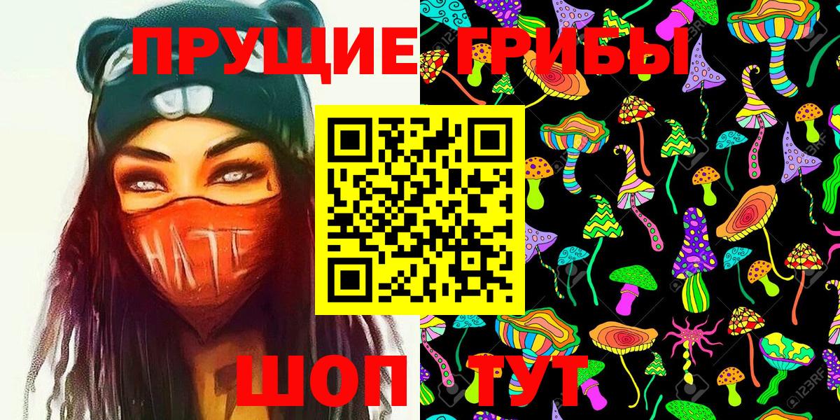 Галлюциногенные грибы Psilocybe  Вход с VPN  Барабинск  Псилоцибиновые грибы Psilocybe 